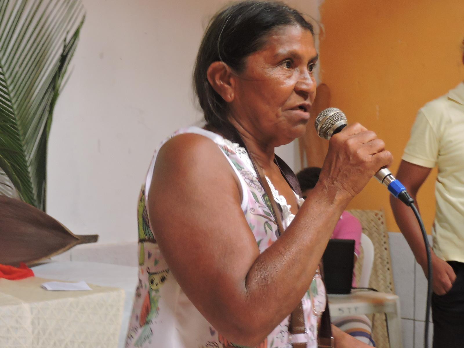 Dia Estadual das Mulheres Quebradeiras de Coco Babaçu do Piauí 